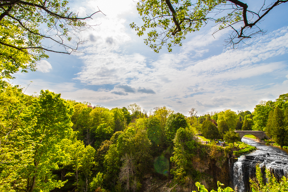 Spencer Gorge/Webster's Falls Conservation Area